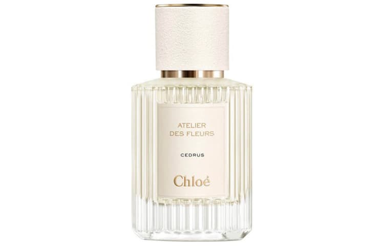 Chloe/蔻依 Chloe Northern Cedar EDP