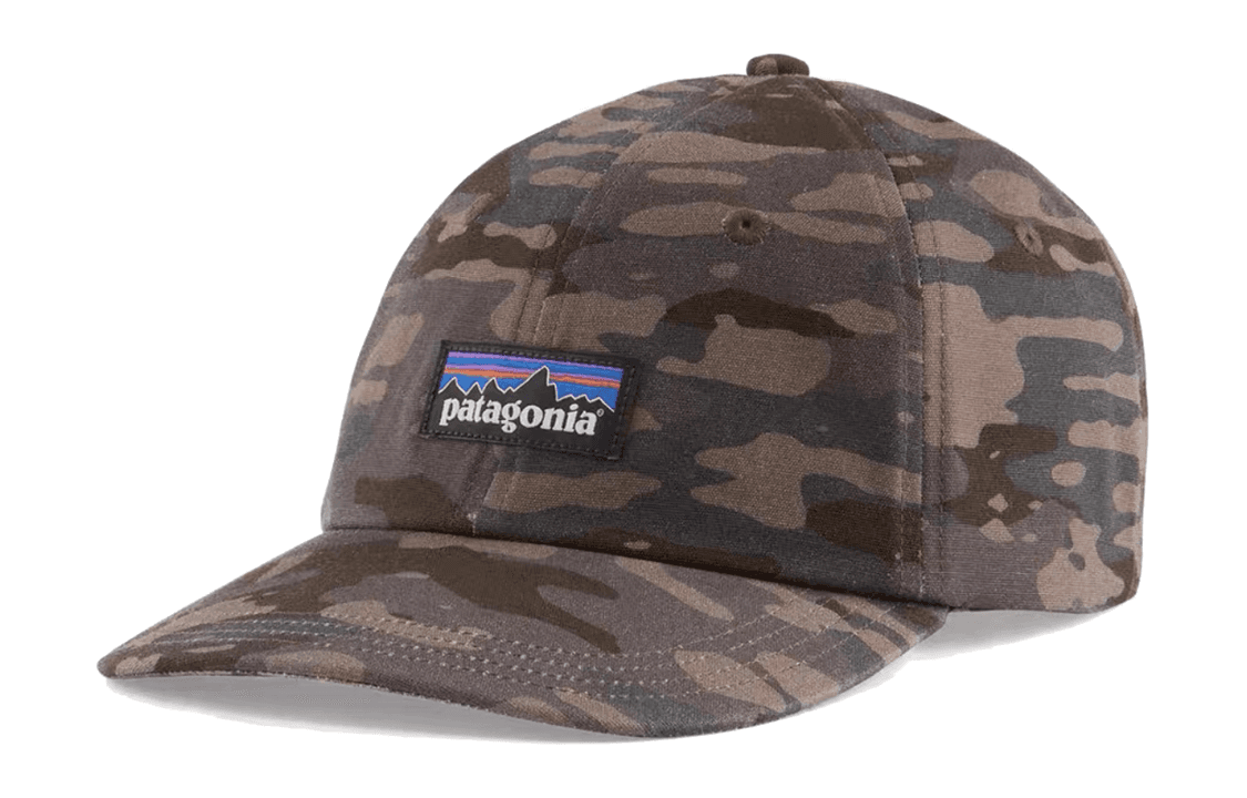 Patagonia Cap Brown
