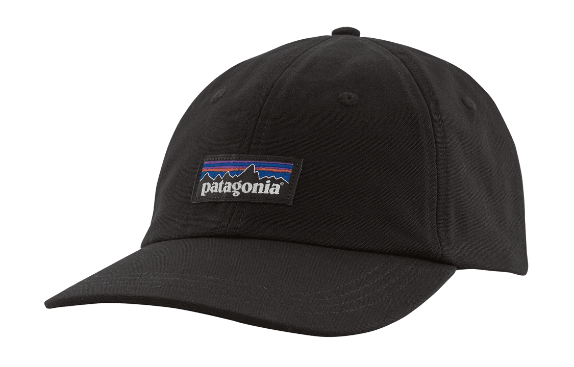 Patagonia Logo Cap
