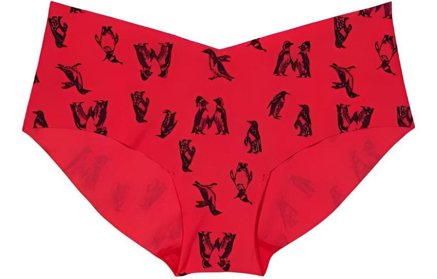Victoria's Secret/维多利亚的秘密 Victoria's Secret Penguin Print Hipster Panty Red