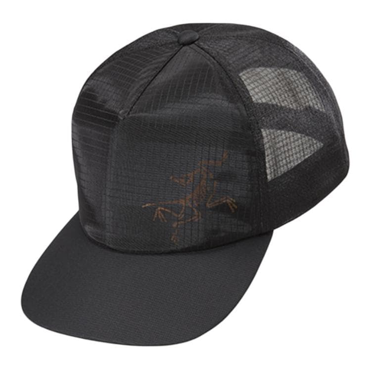 Arcteryx Cap