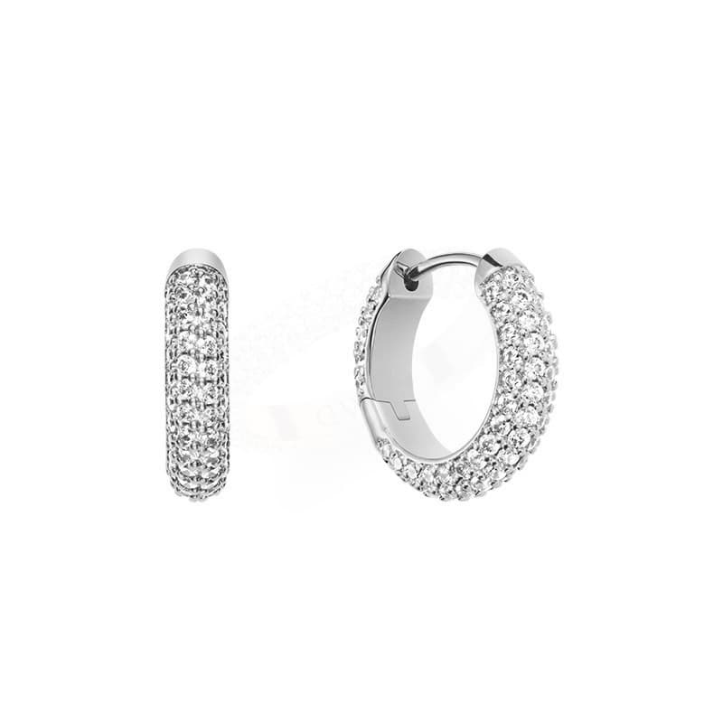 Daniel Wellington/丹尼尔惠灵顿 Daniel Wellington Earrings