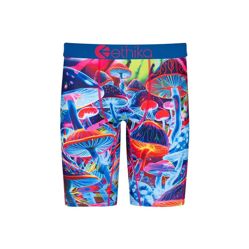 ETHIKA 1