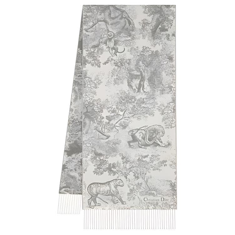 DIOR Scarf