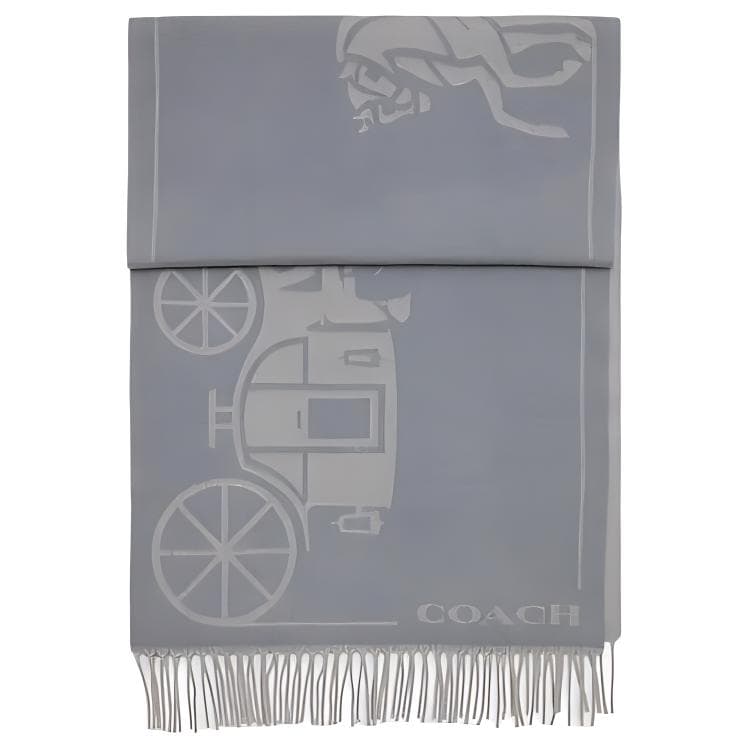 COACH/蔻驰 COACH Scarf