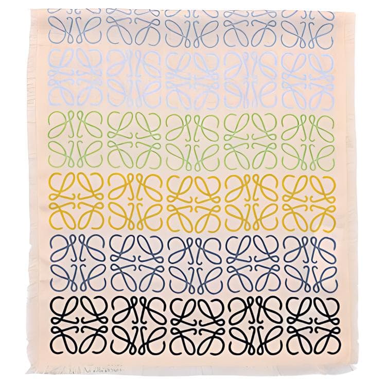 LOEWE Scarf