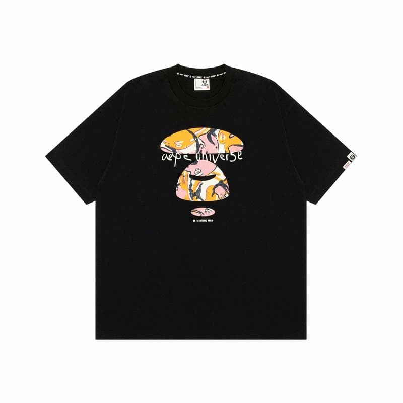 Aape T