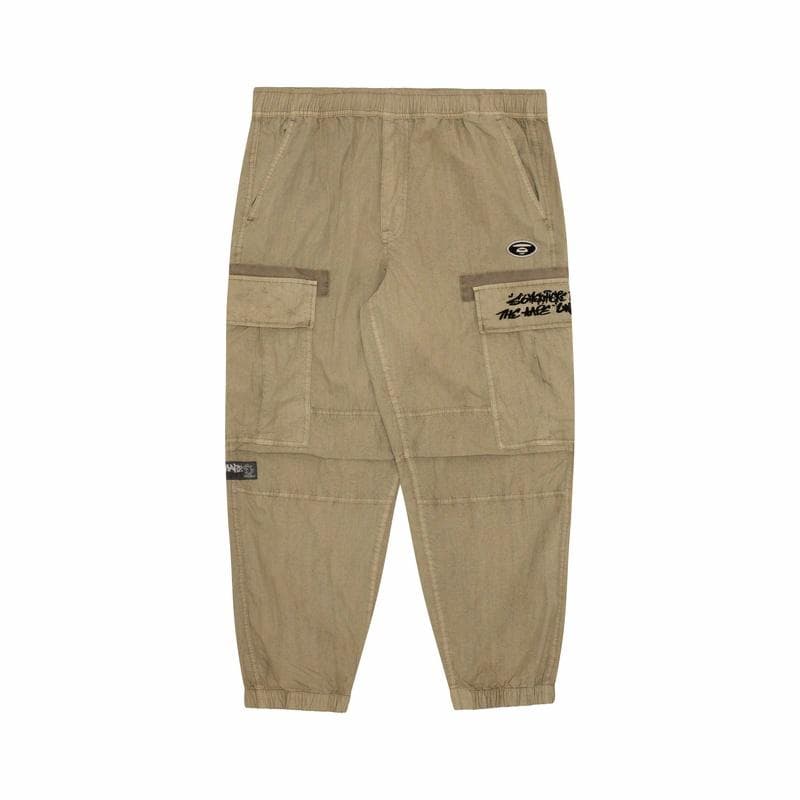 Aape