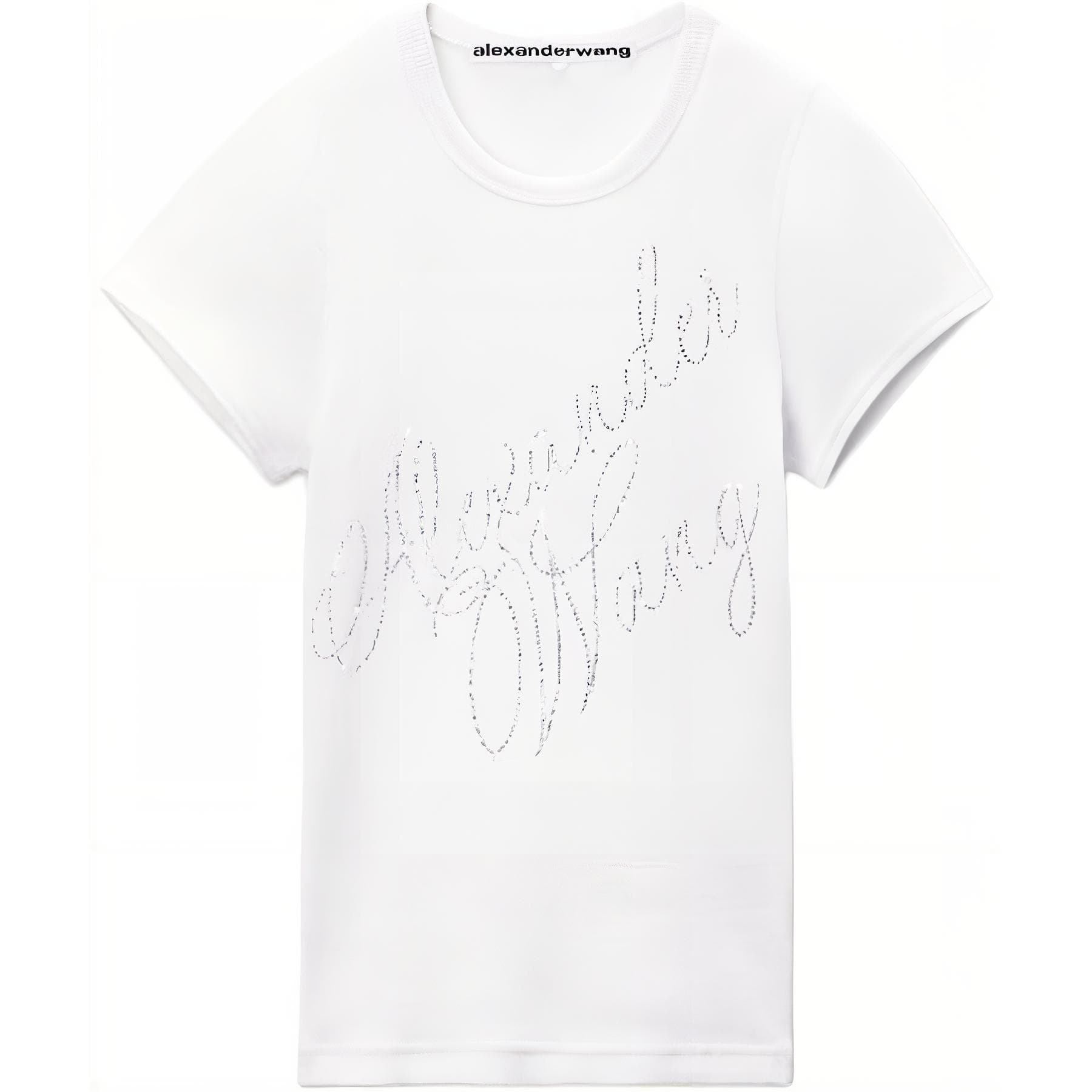 alexander wang FW24 T