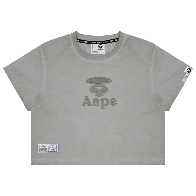 Aape T