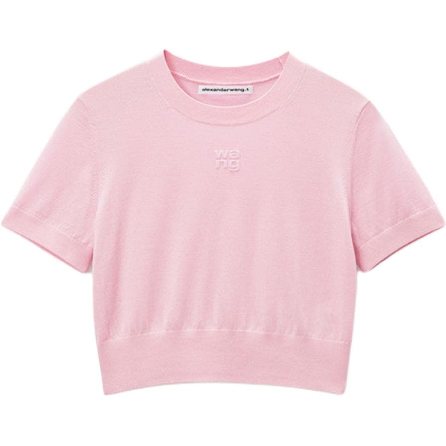 alexander wang FW24 T