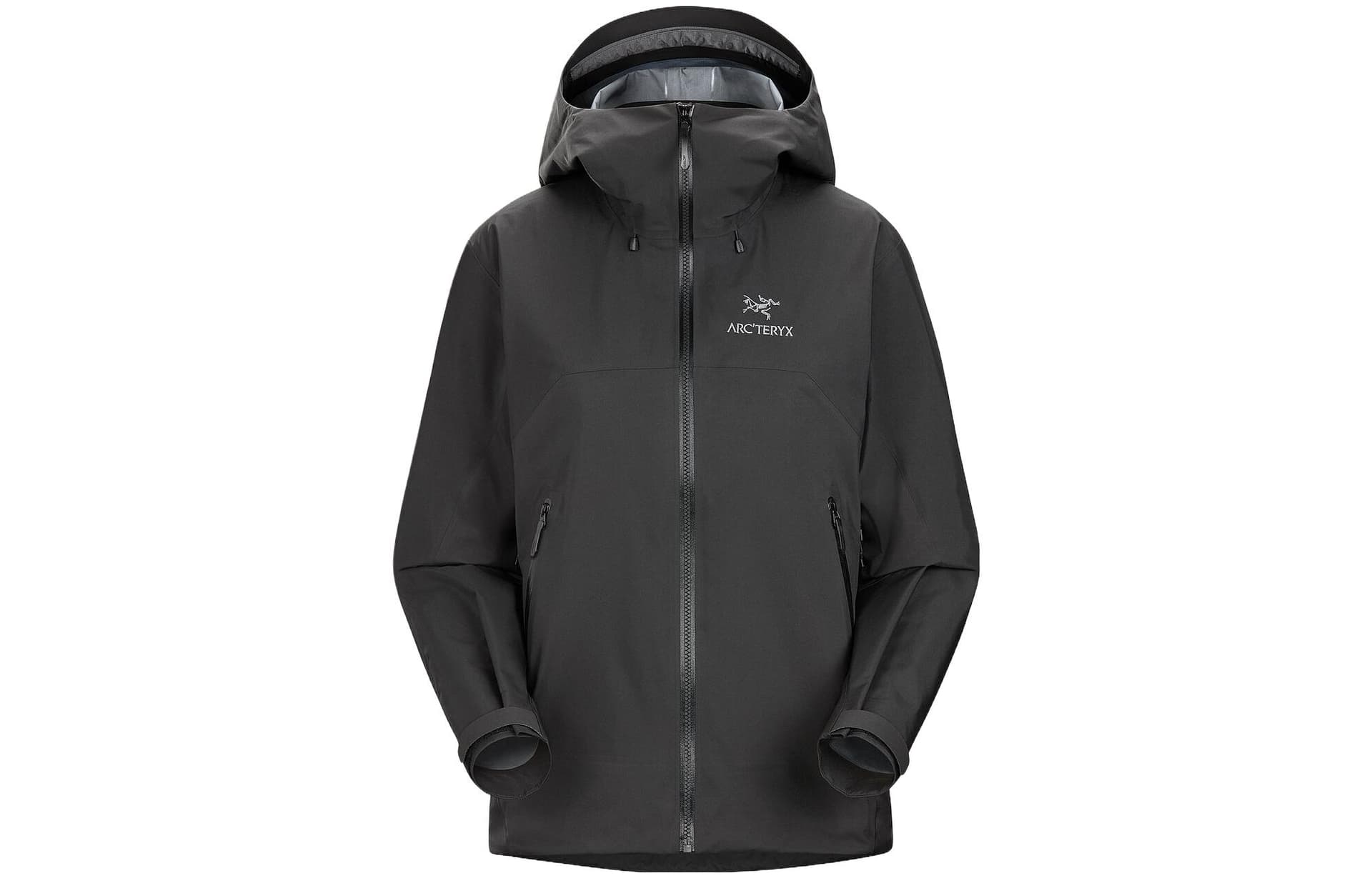Arcteryx Beta AR Stormhood Jacket