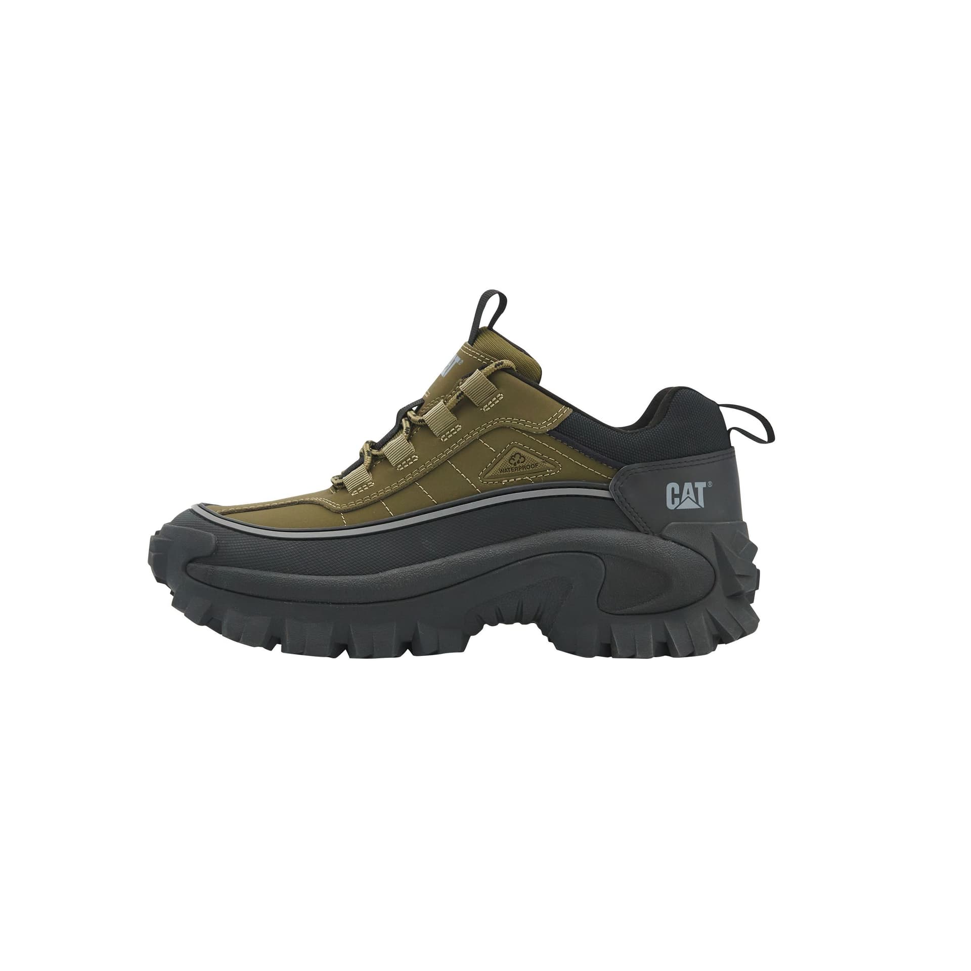 CAT FW24 Dark Green