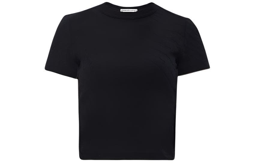 alexander wang T