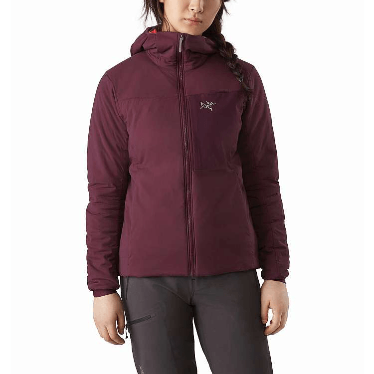 Arcteryx Proton LT Hoody — фото 1