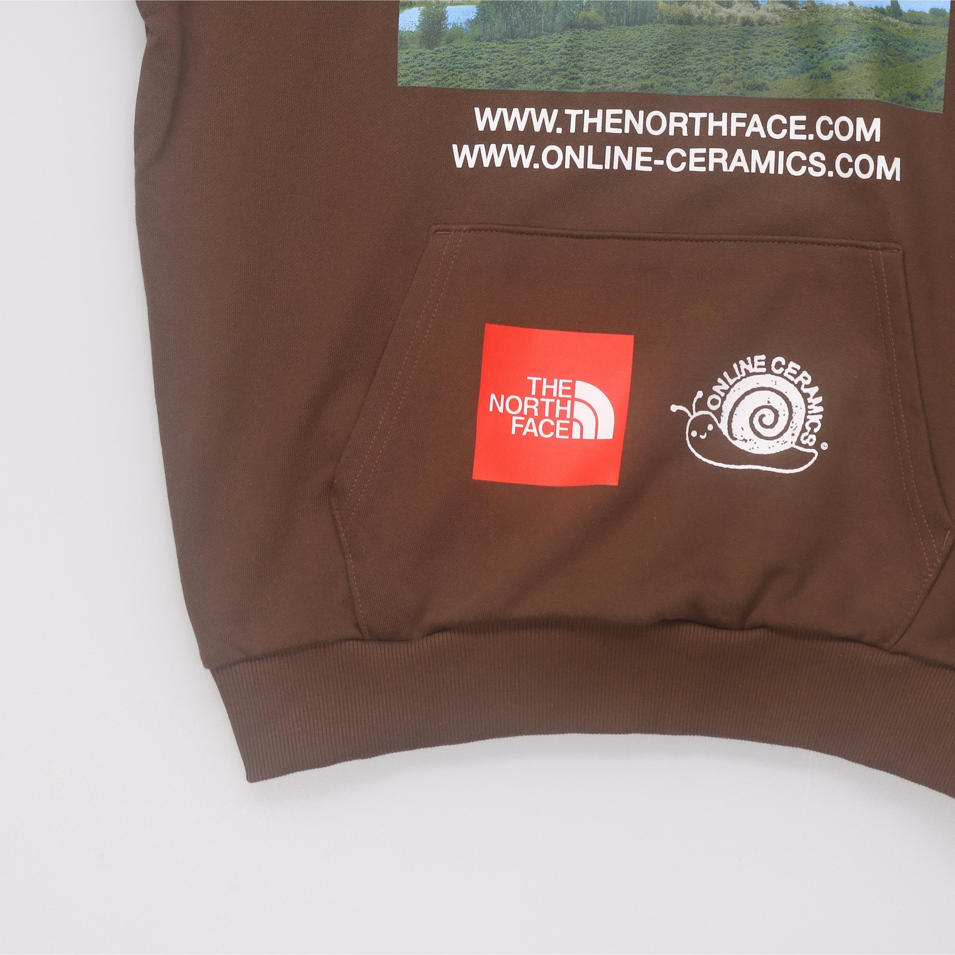 The North Face x Online Ceramics SS23 Hoodie Brown — фото 3