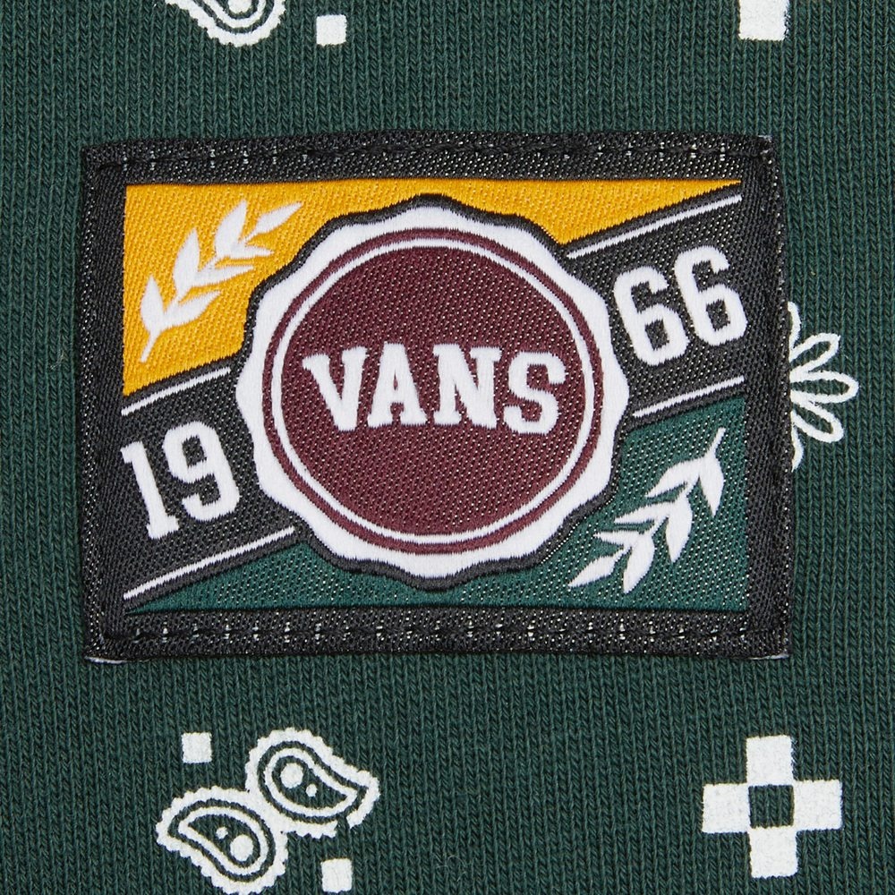 Vans Худи (Арт. VN0A5H8DCX9) — фото 3