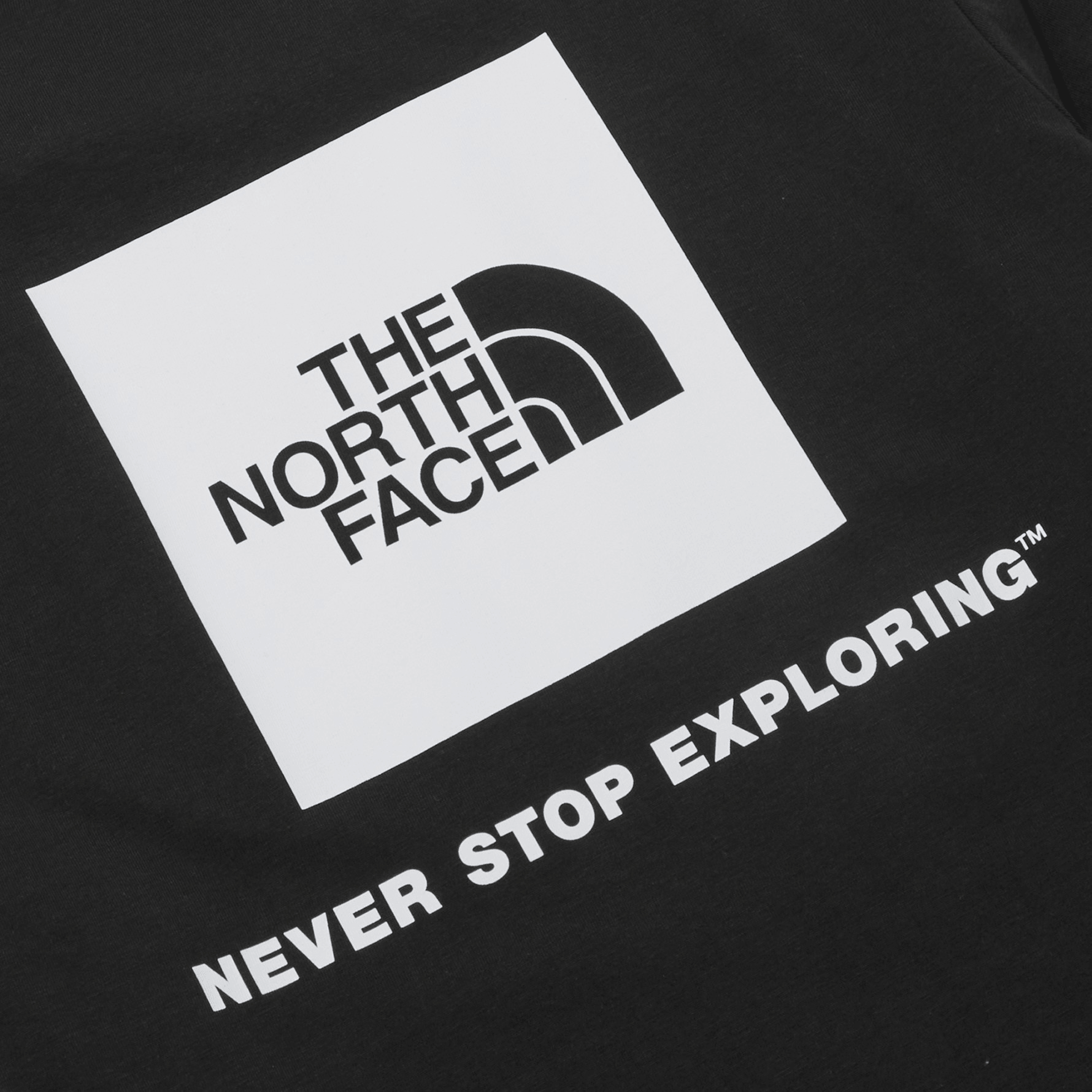 The North Face Футболка (Арт. NT7UP43A) — фото 2
