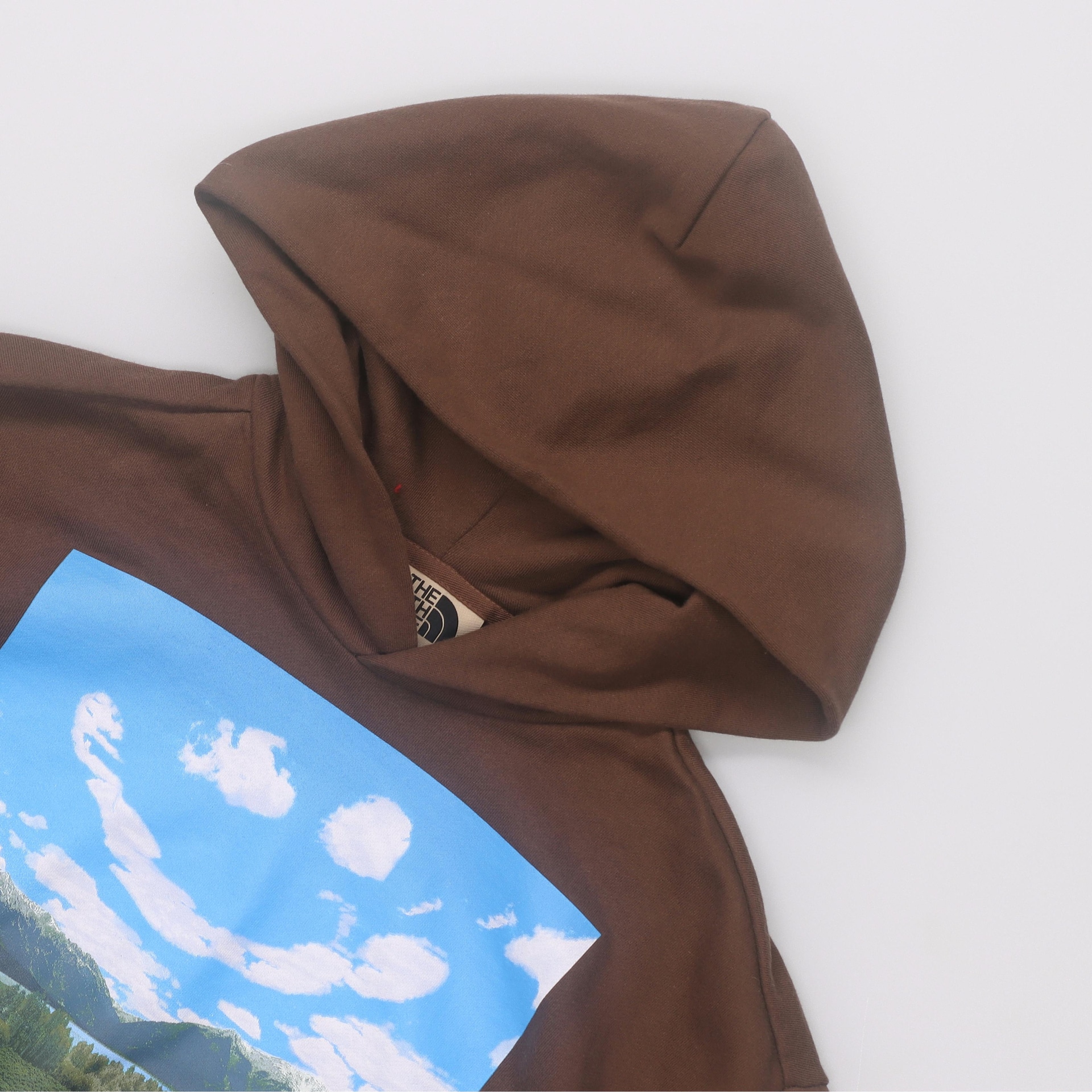 The North Face x Online Ceramics SS23 Hoodie Brown — фото 2