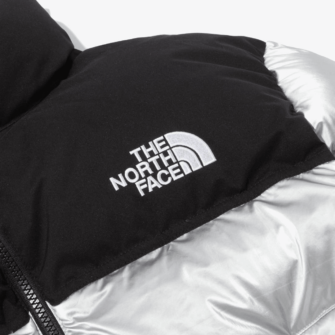 The North Face Novelty Nuptse Down Jacket Silver — фото 6