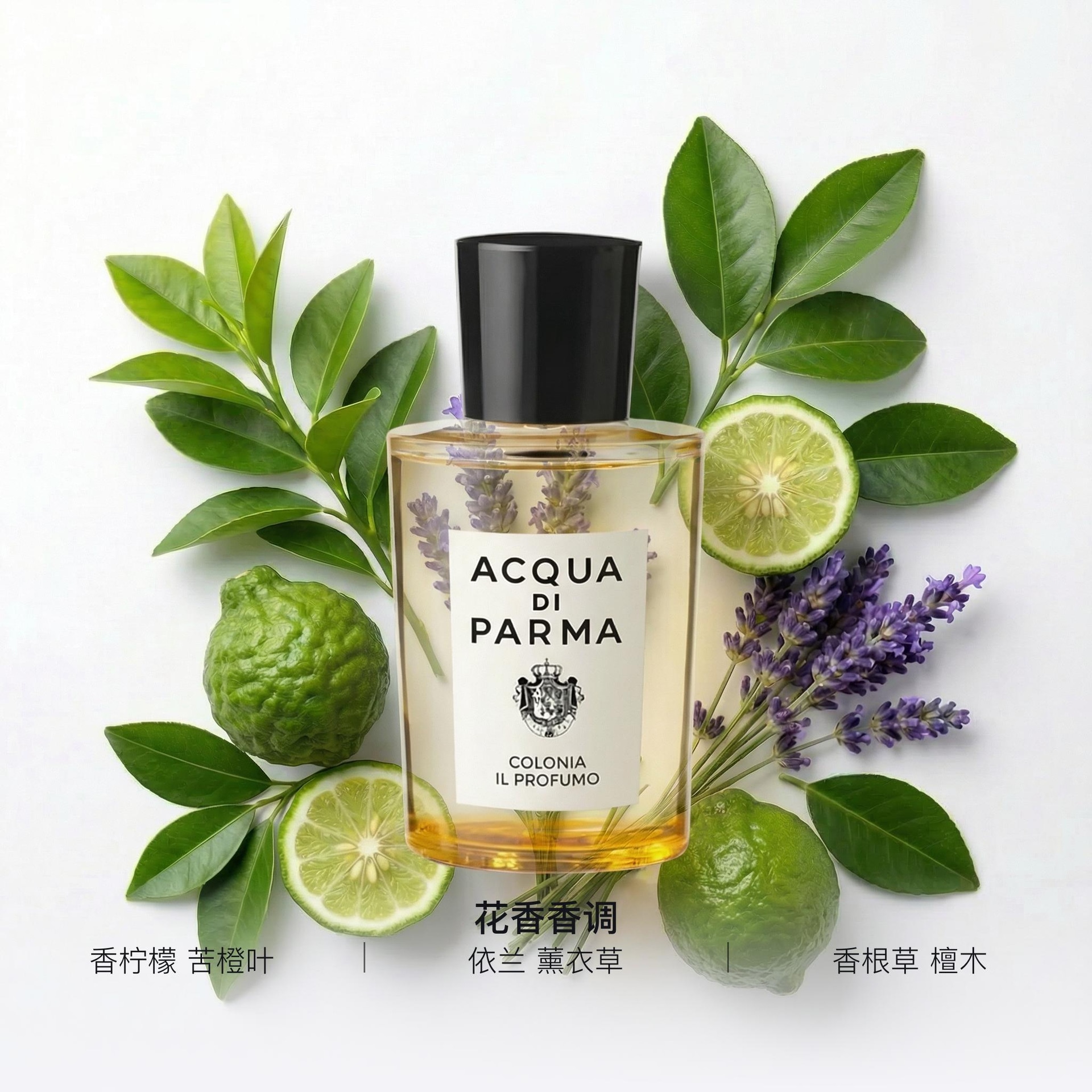 Acqua Di Parma Colonia il Profumo EDP 50ml — фото 1