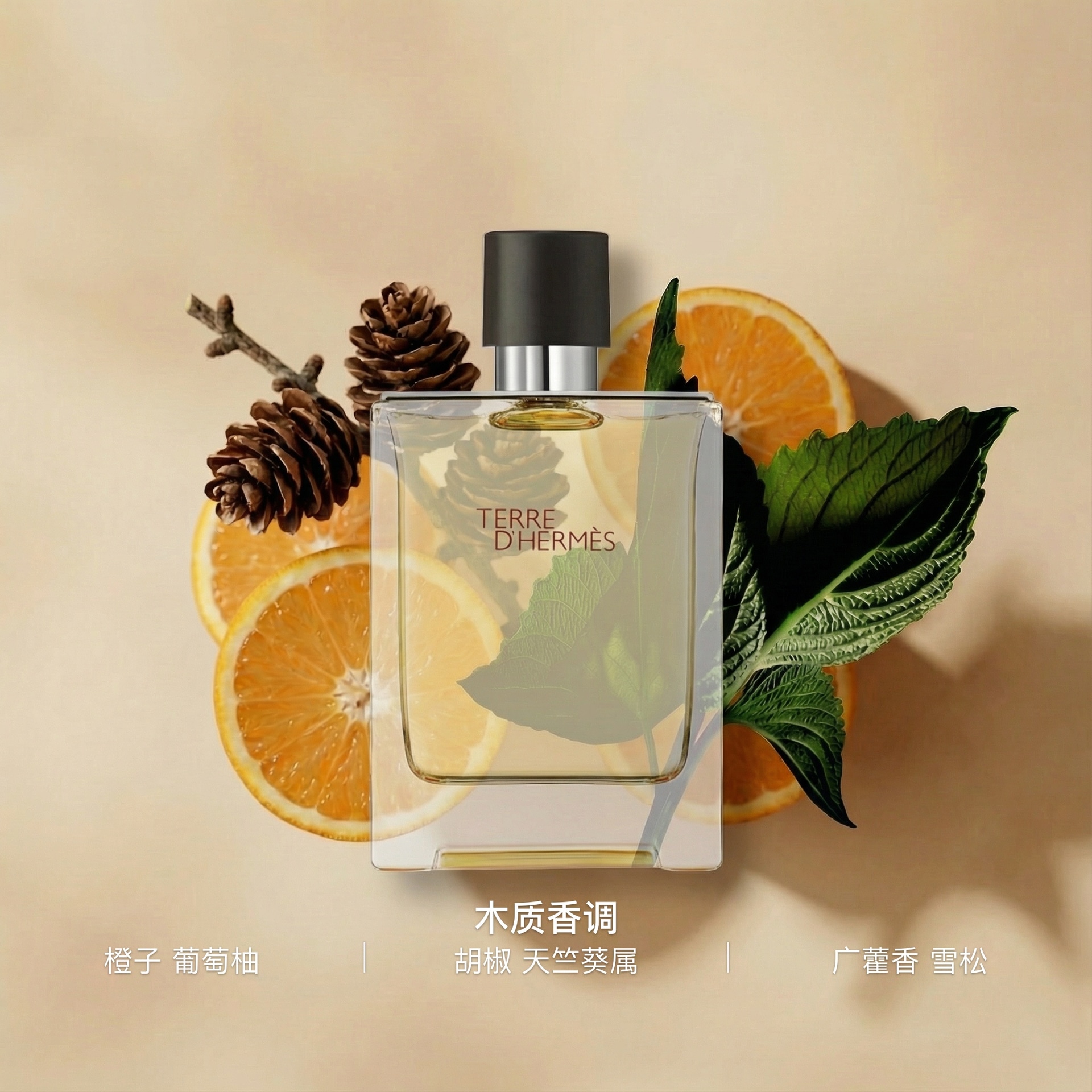 Hermes Terre d'Hermes EDT — фото 2