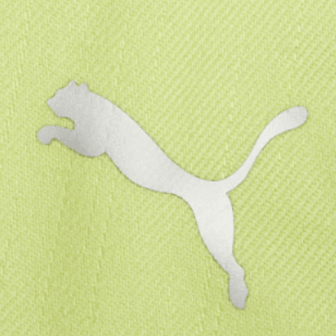 Puma Logo — фото 4