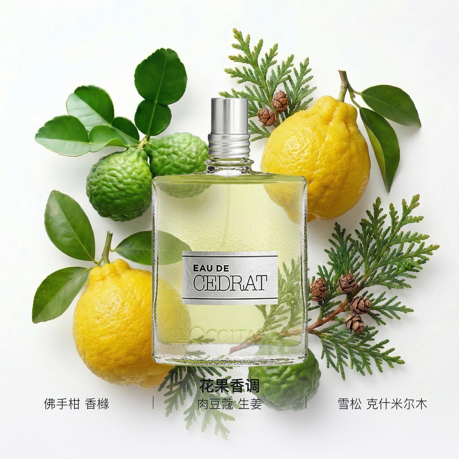 L'OCCITANE/欧舒丹 EDT 75ml — фото 1