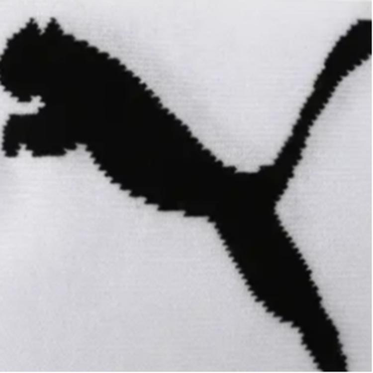 Puma Logo 3 — фото 3