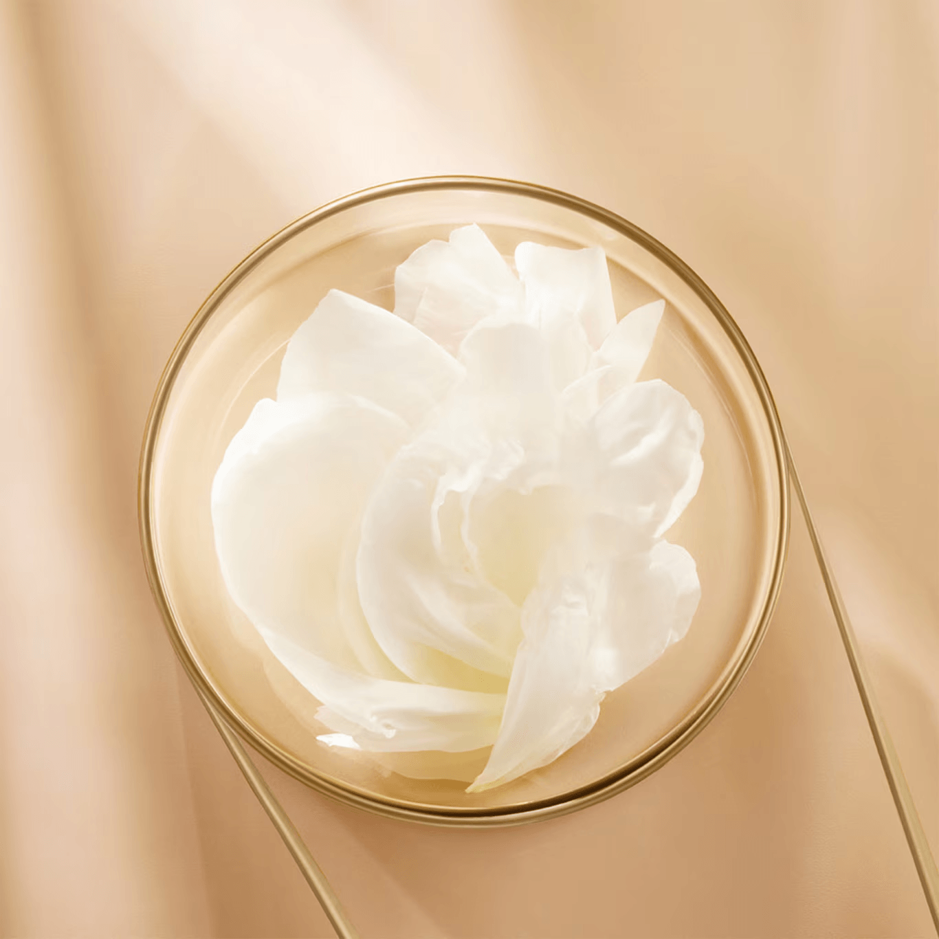 Estee Lauder 50ml75ml — фото 1
