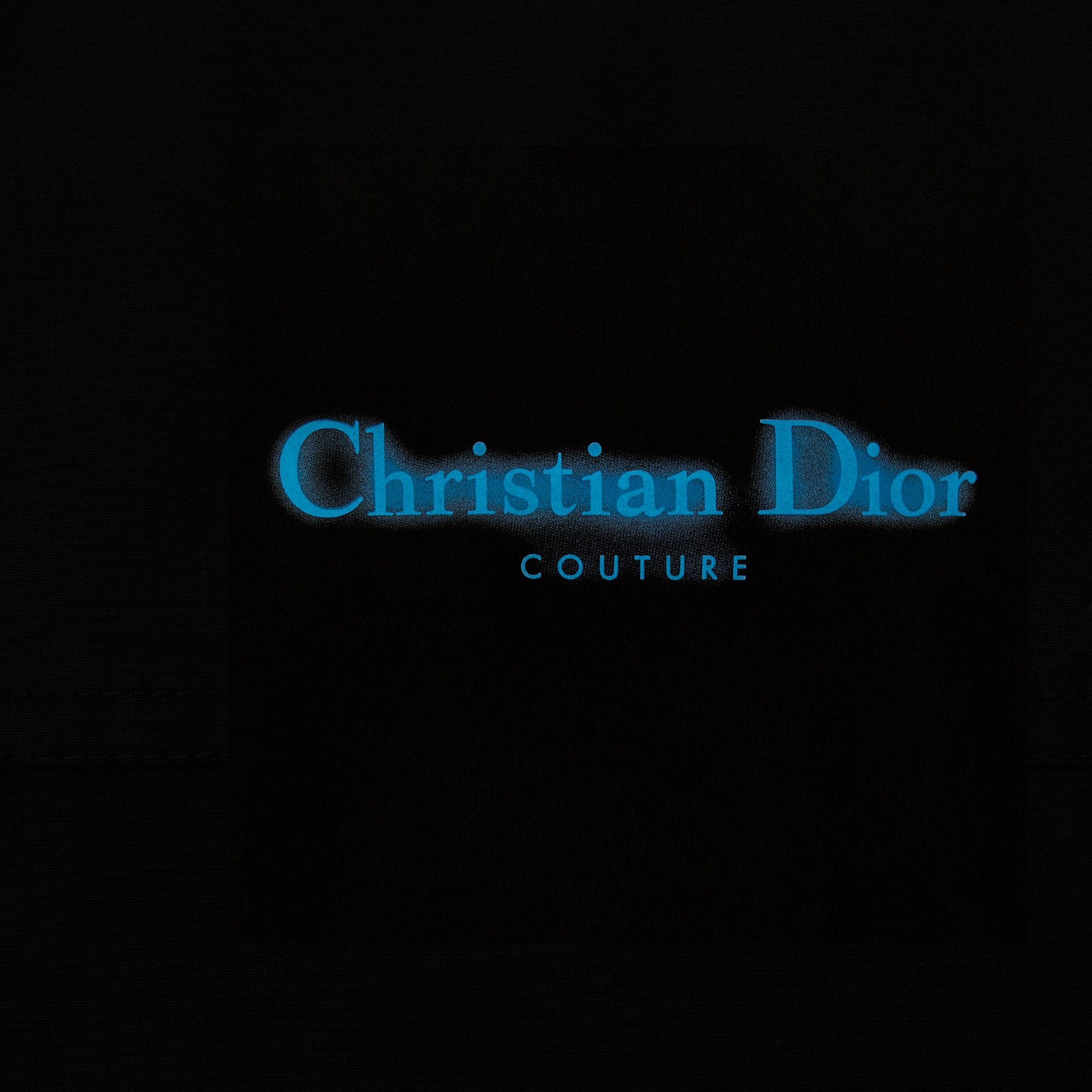 Dior FW24 Logo — фото 8