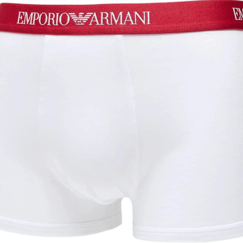 Emporio Armani Logo 3 — фото 4