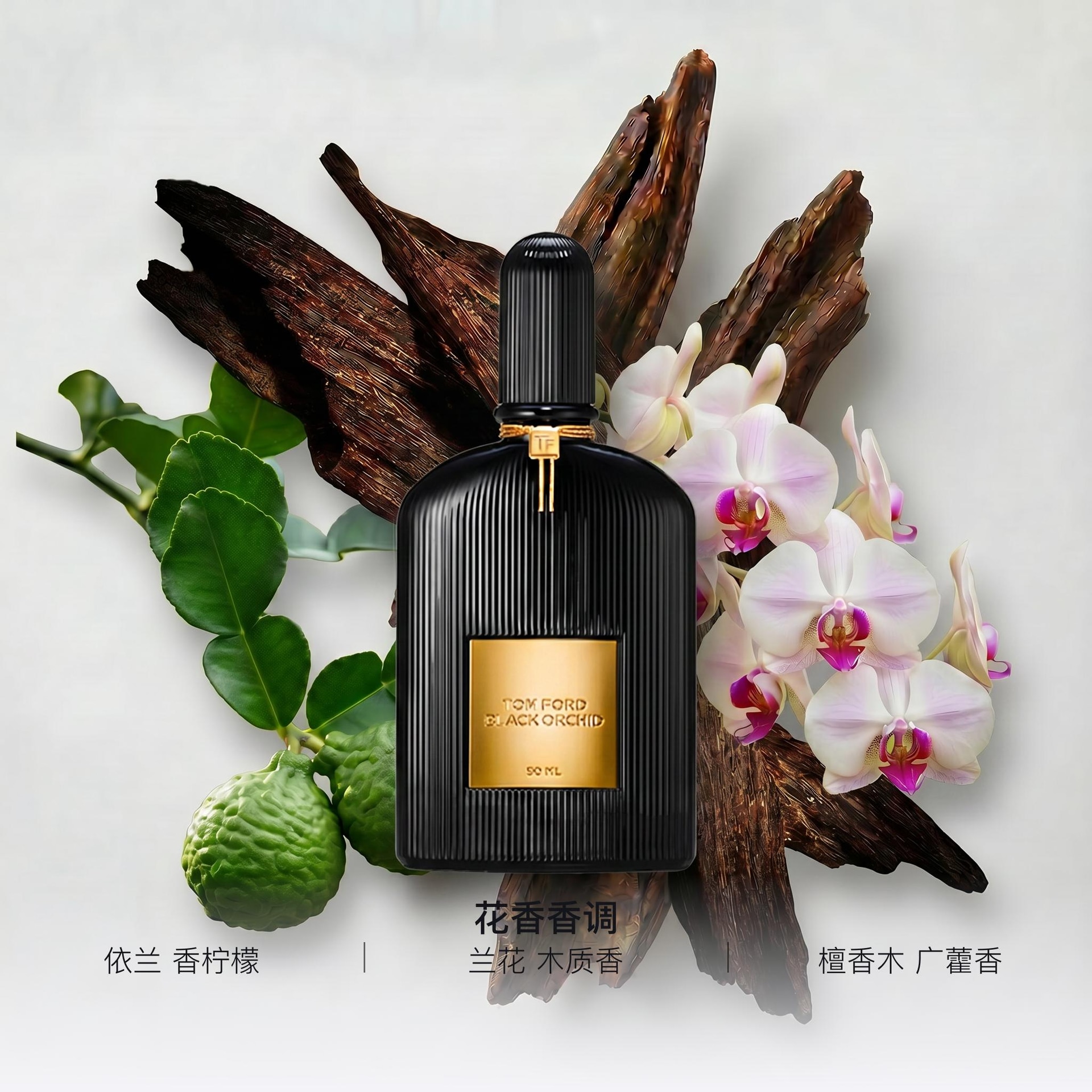 Tom Ford Noir Orchid EDP — фото 1