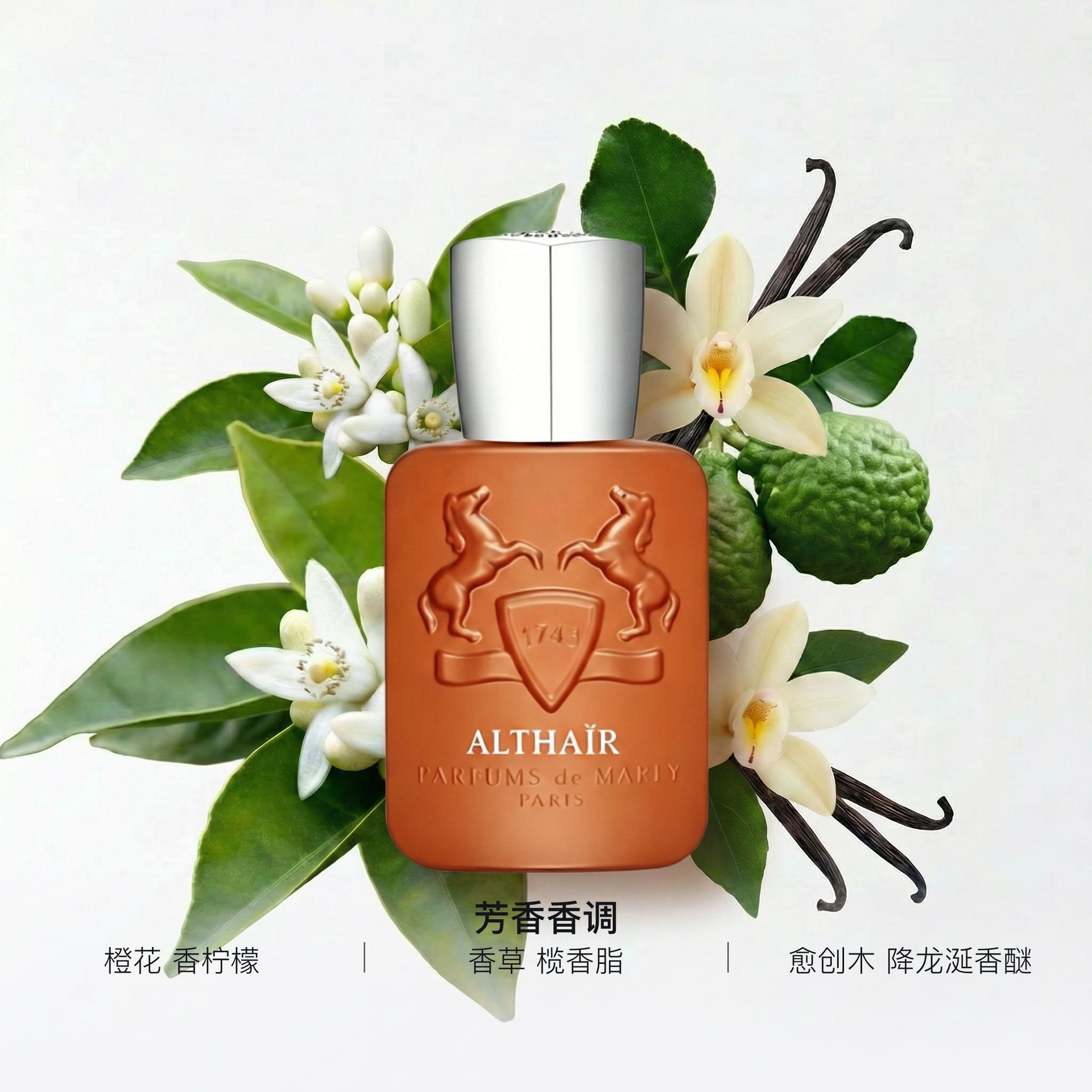 玛丽之香 ALTHAÏR — фото 1