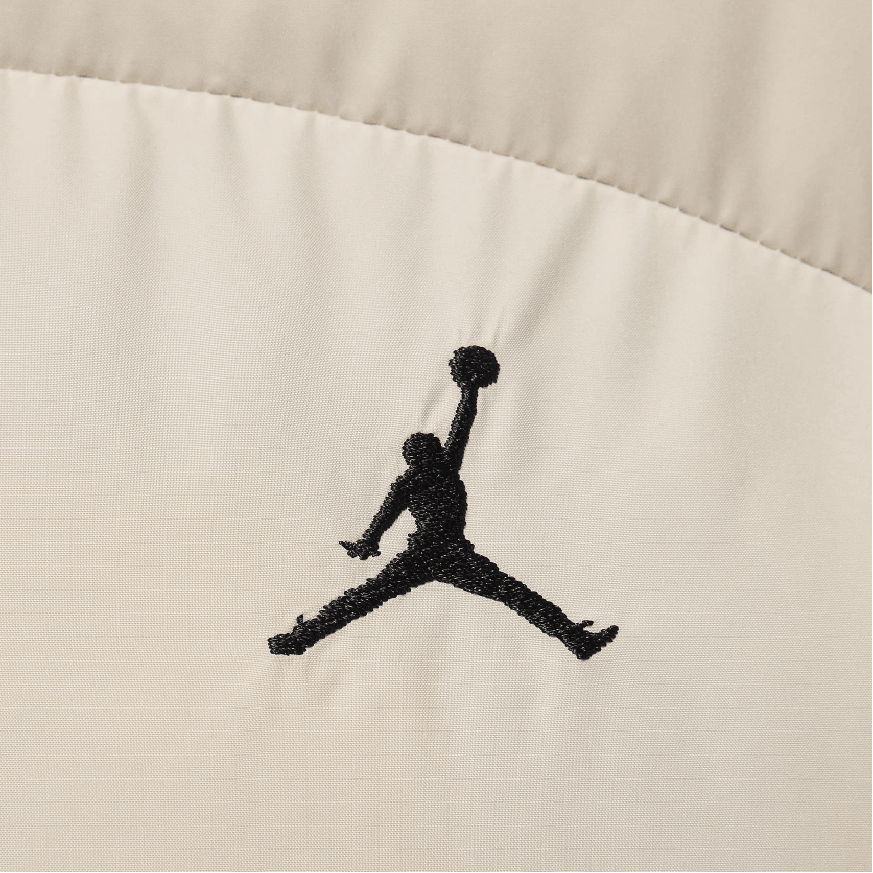 Jordan Одежда (Арт. FZ4528-203) — фото 4