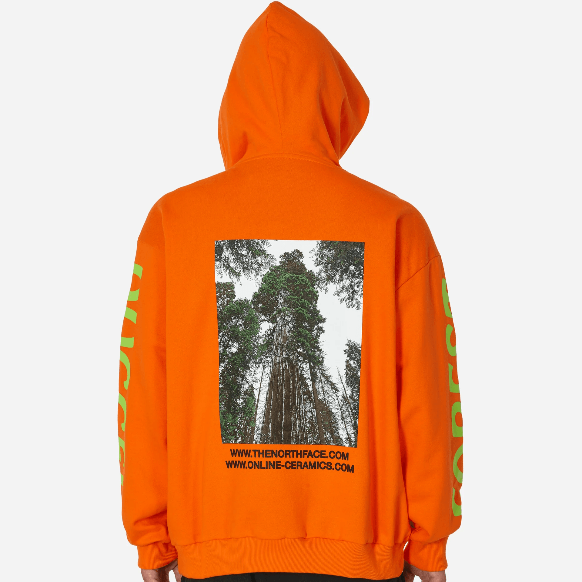 The North Face x Online Ceramics Hoodie Orange — фото 4