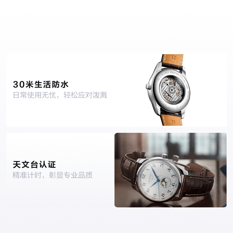 Longines 42mm L2.919.4.78.3 — фото 5