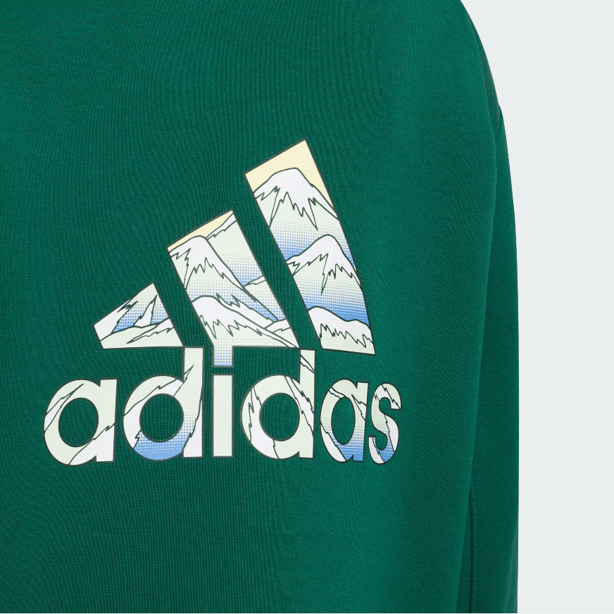 Adidas CITY ESCAPE FW24 GRAPHIC CREW SWEATER — фото 2