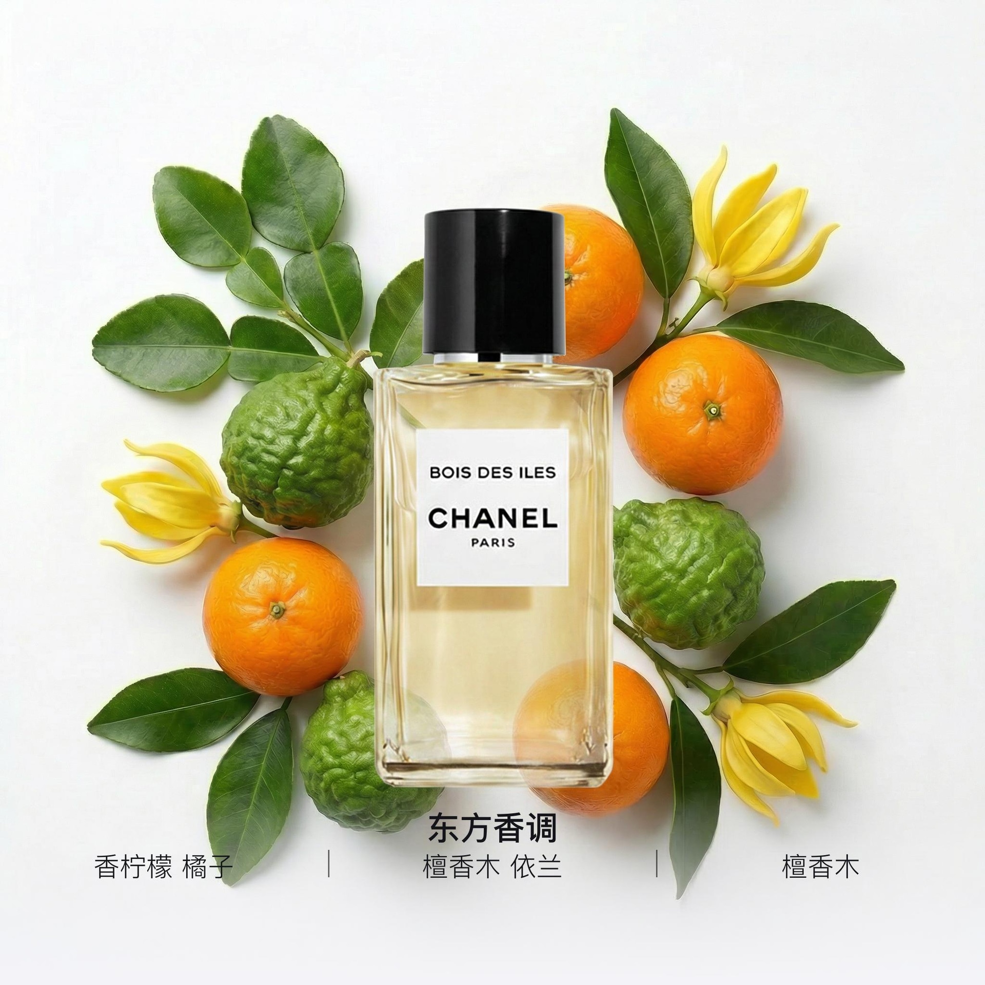 Chanel (Арт. 岛屿森林香水) — фото 4