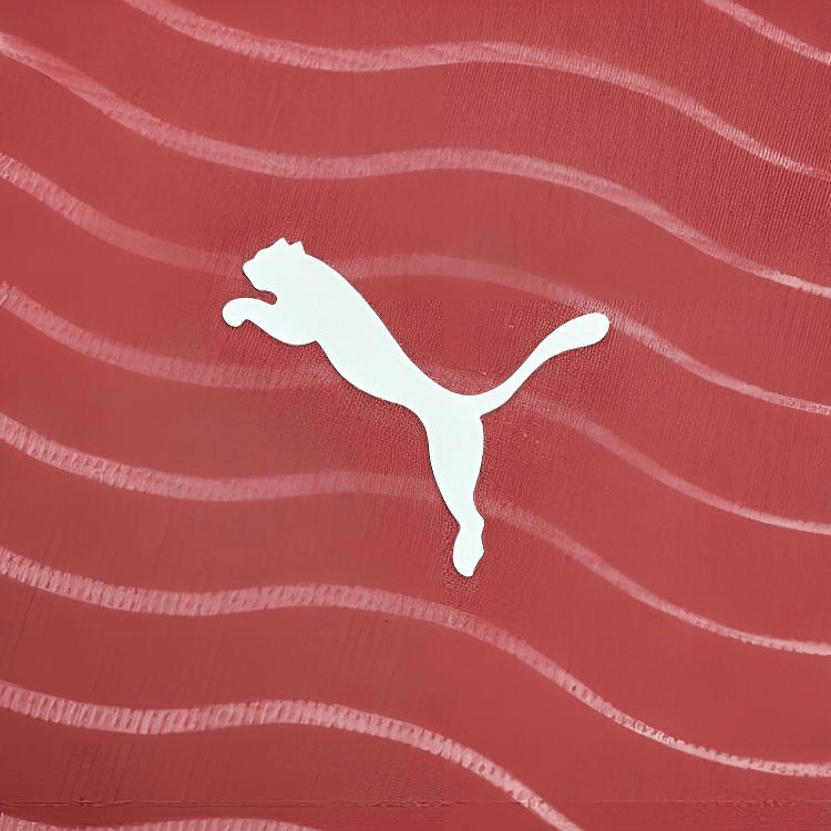 Puma JERSEY REPLICA FW25 FPF HOME PLAYER 17 V — фото 2