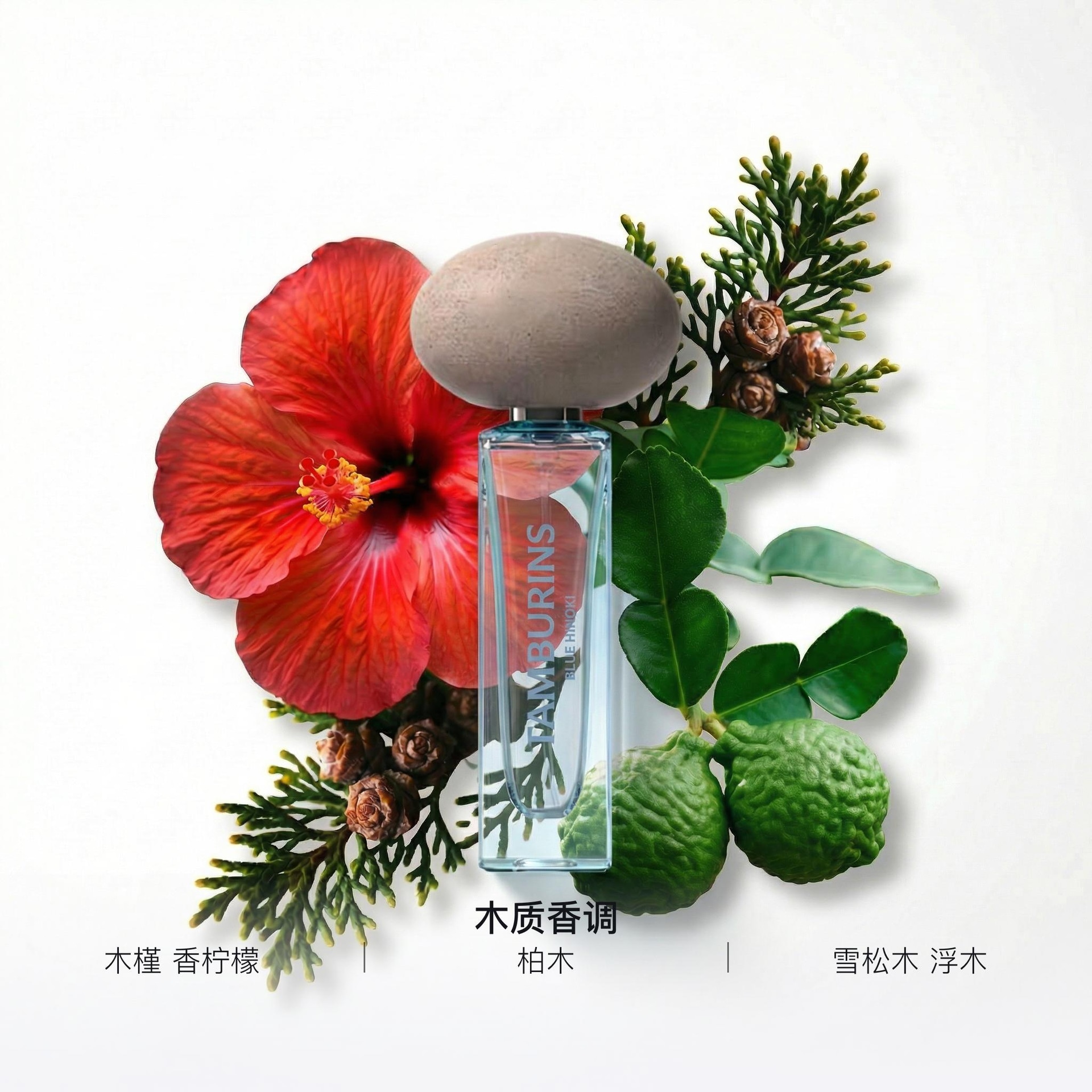 Tamburins Blue Hinoki EDT — фото 1