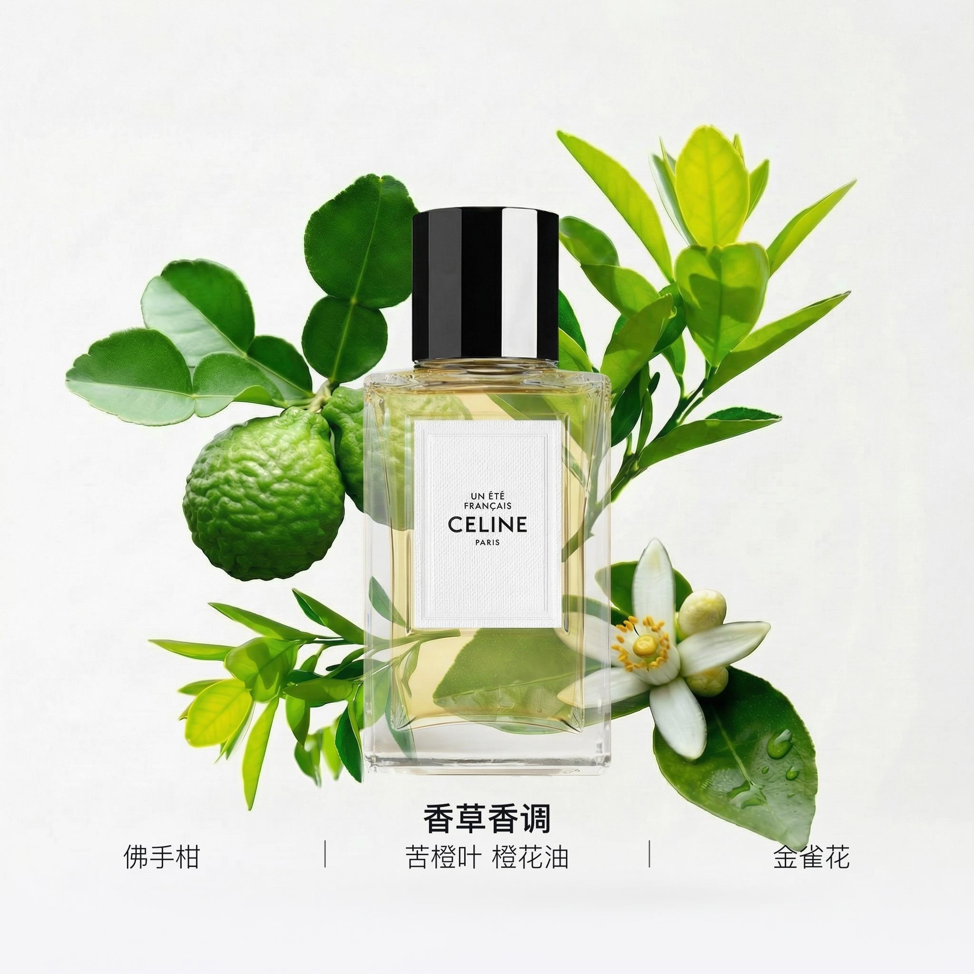 Celine A French Summer EDP — фото 1