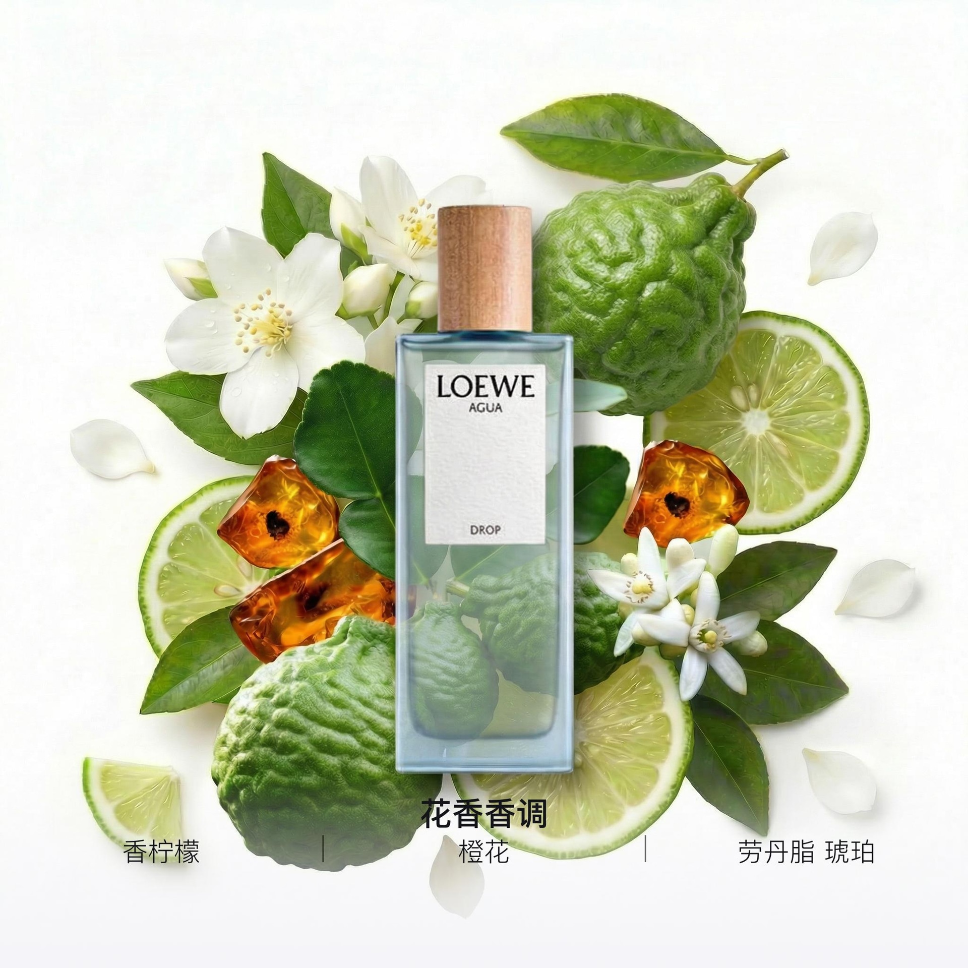 Loewe EDP 50ml100ml — фото 1