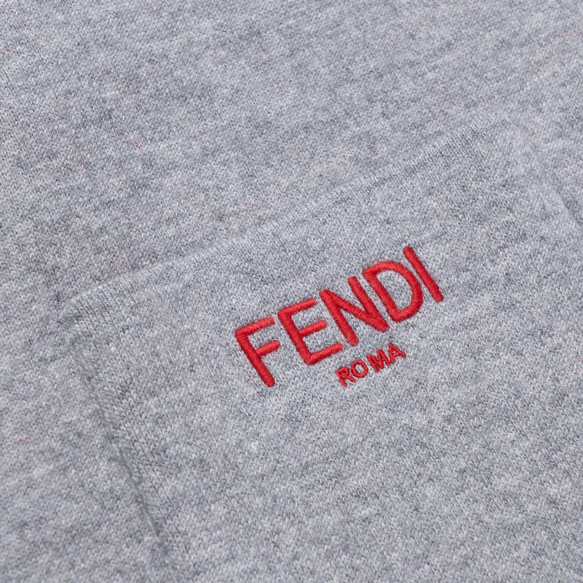 Fendi Logo — фото 5