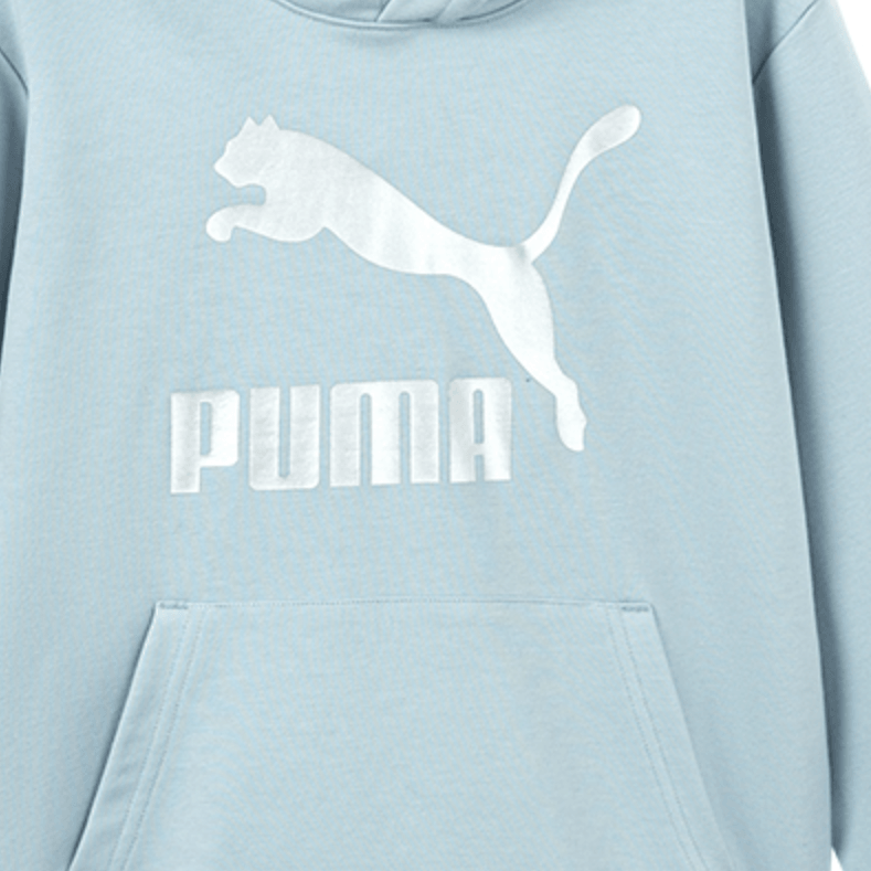 Puma SportstyleCLASSICS BIG LOGO HOODIE — фото 3