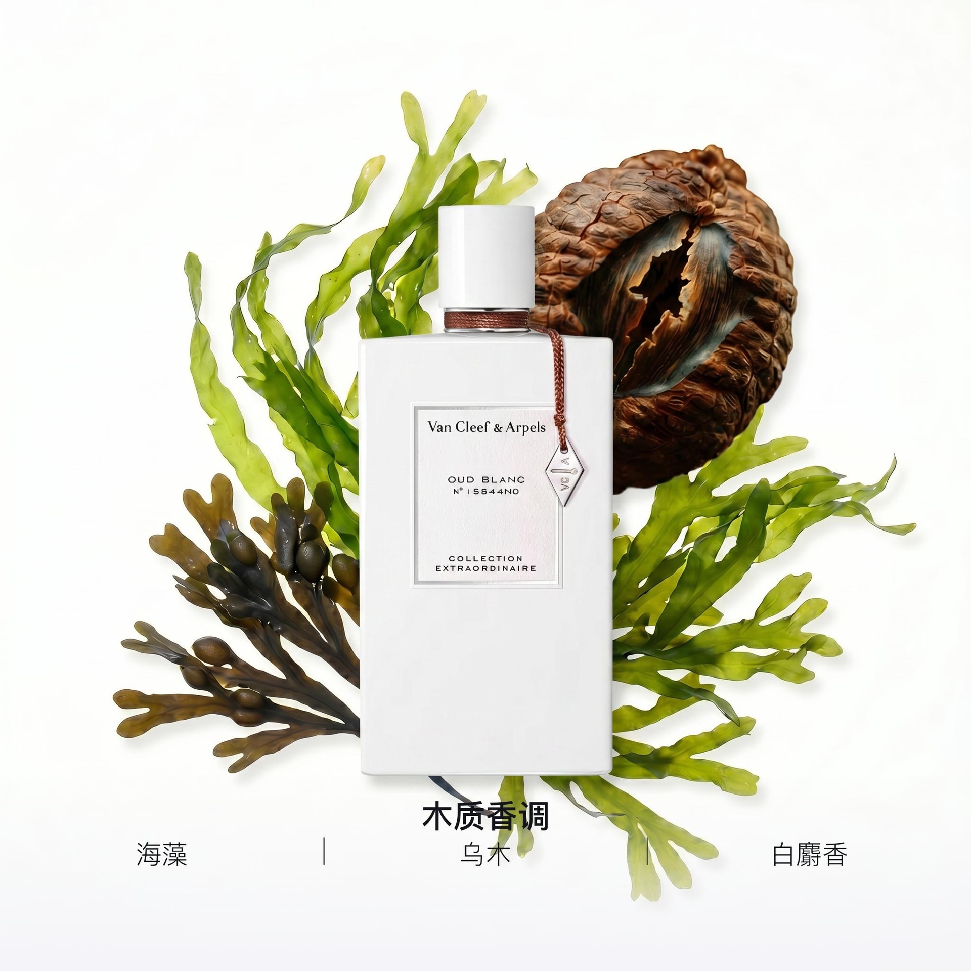 Van Cleef & Arpels Extraordinary Collection Yunxue White Jade EDP 75ml — фото 1
