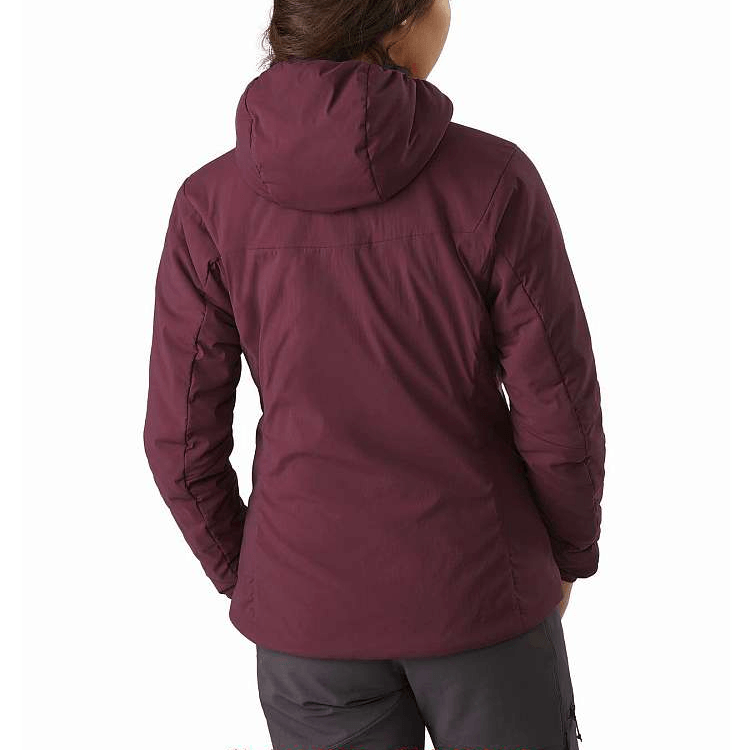 Arcteryx Proton LT Hoody — фото 2
