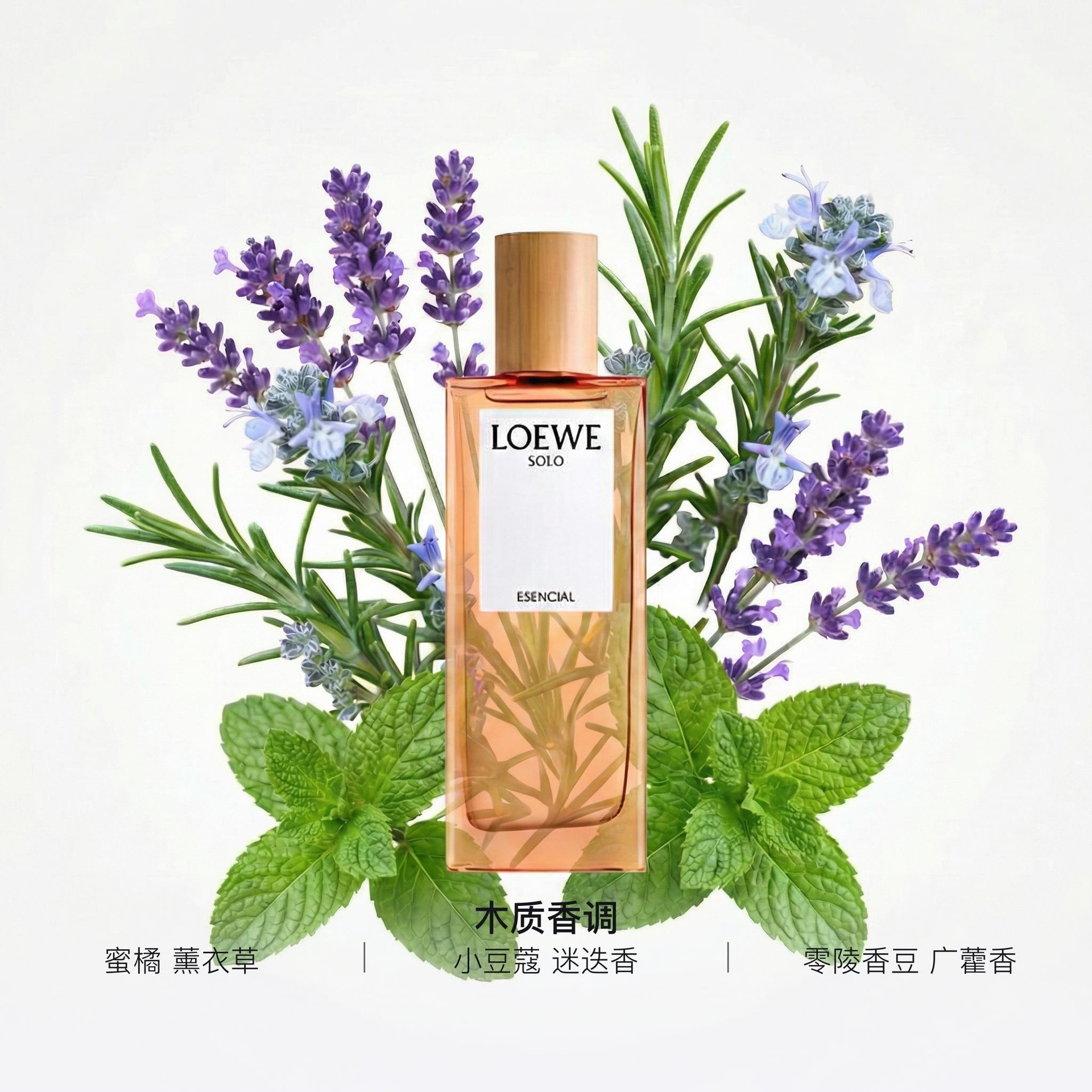 Loewe 50ml100ml — фото 1