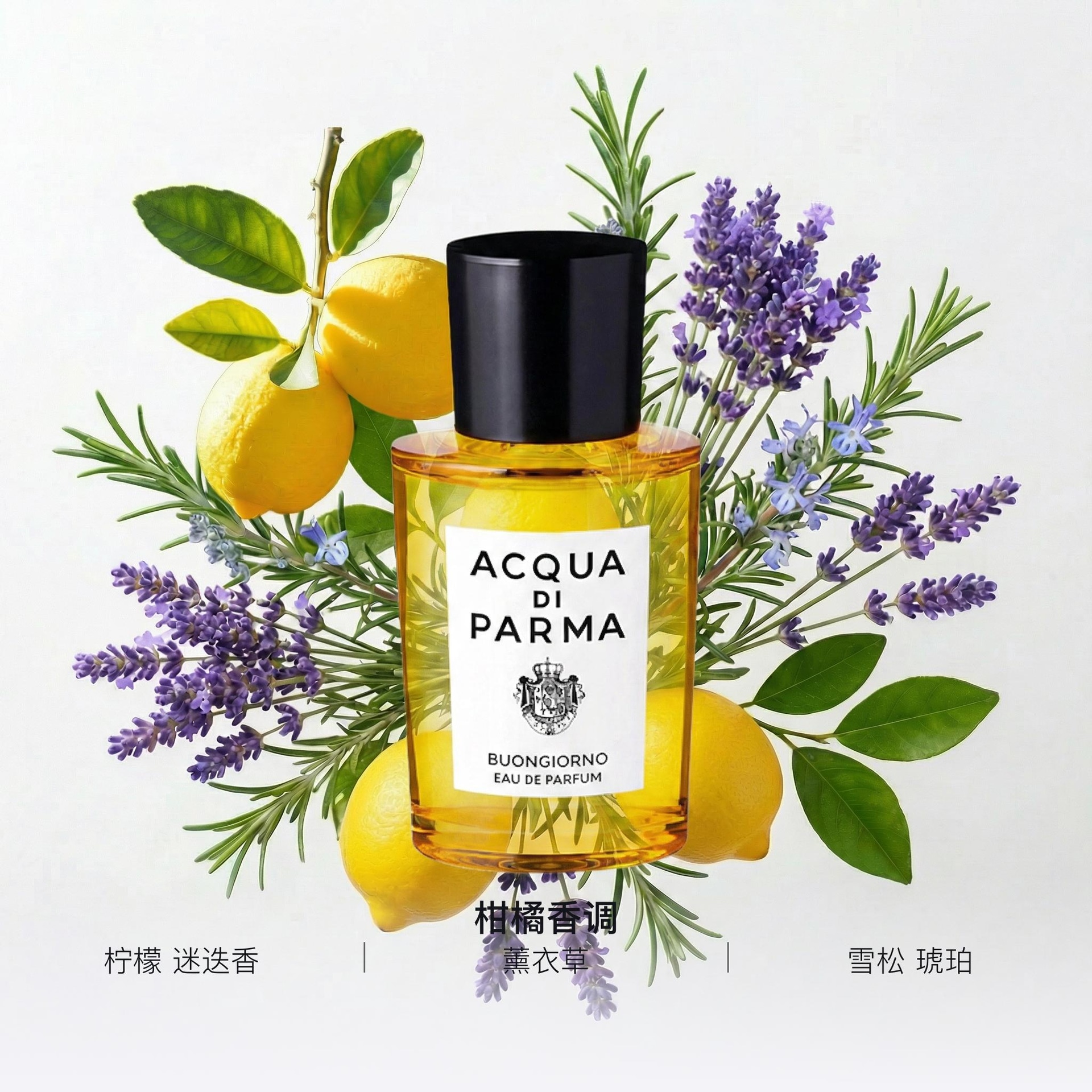 Acqua Di Parma EDP 50ml — фото 1