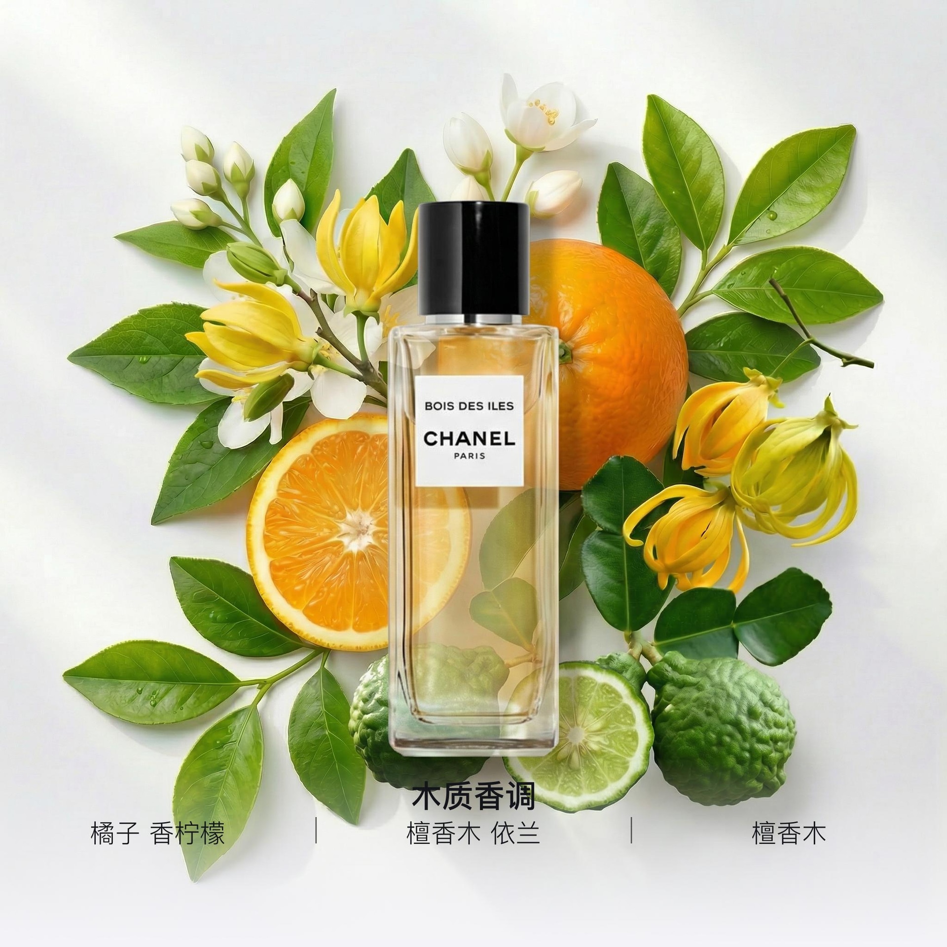Chanel (Арт. 岛屿森林香水) — фото 1